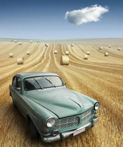 Car In Field Paint By Numbers