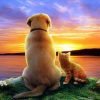 Cat And Dog At Sunset Paint By Numbers