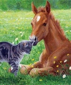 Cat And Horse In Meadow Paint By Numbers