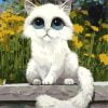 White Cat Paint By Numbers