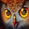 Yellow Eyes Owl Paint By Numbers