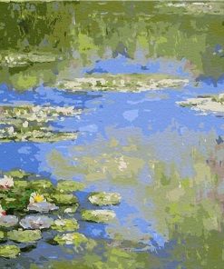 Paint by Numbers Canvas: Waterlilies - Art Kits - Art + Craft - Adults -  Hinkler