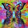 Colorful Butterfly paint by numbers