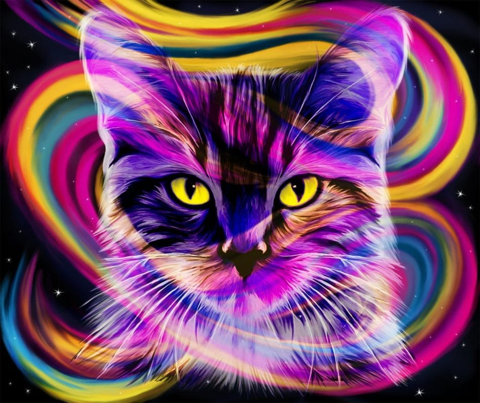 Colorful Cat Head Paint By Numbers - Numeral Paint Kit