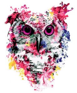 Colorful Owl Bird Head Paint By Numbers