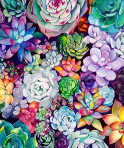 Colorful Succulents Paint By Numbers