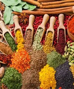 Food Spices Paint By Numbers