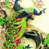 Peacock Couple Paint By Numbers