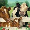 Cow Family Paint By Numbers