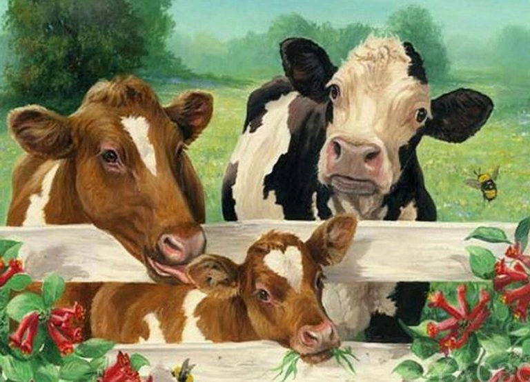 Cow Family Paint By Numbers Numeral Paint Kit