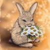 Rabbit And Daisies Paint By Numbers
