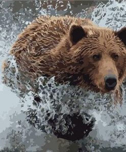 Bear In Water Paint By Numbers