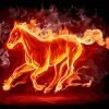Horse of fire Animals Paint By Numbers