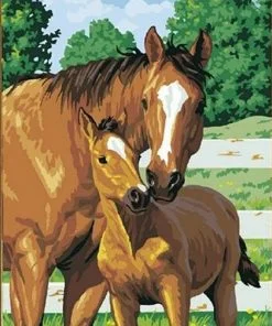 horse and baby paint by numbers