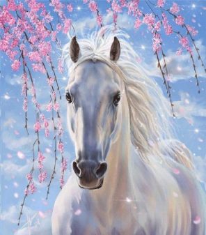 White Horse Paint By Numbers