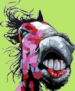 Abstract Funny Horse Paint By Numbers