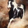 Black White Horse Paint By Numbers