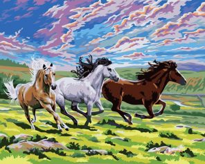 Three Horses Running Paint By Numbers