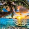 Seaside Palm Tree Paint By Numbers