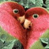 Heart Birds Paint By Numbers
