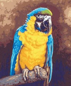 Blue Gold Macaw Paint By Numbers