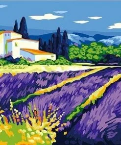 Provence Lavender Field Paint By Numbers