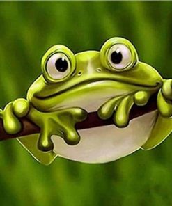 Green Frog Animals Paint By Numbers