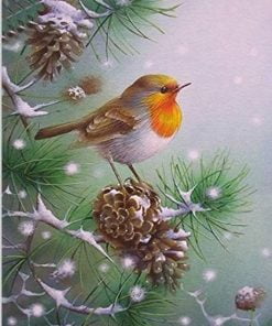 Snow Robin Bird Paint By Numbers