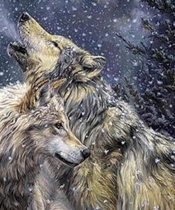 Winter Wolves Paint By Numbers
