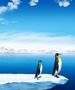 Penguin In North Pole Paint By Numbers