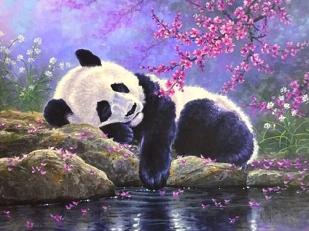 Acrylic Painting By Numbers Canvas – Panda – Alphe's Corner