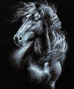 Black Horse Paint By Numbers