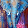 Blue Gold Elephant Paint By Numbers