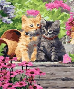 Pretty Cats Paint By Numbers