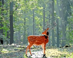 deer in forest paint by numbers