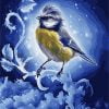 Blue Tit Bird Paint By Numbers