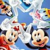 Mickey Mouse Characters Paint By Numbers