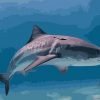 Shark Underwater Paint By Numbers