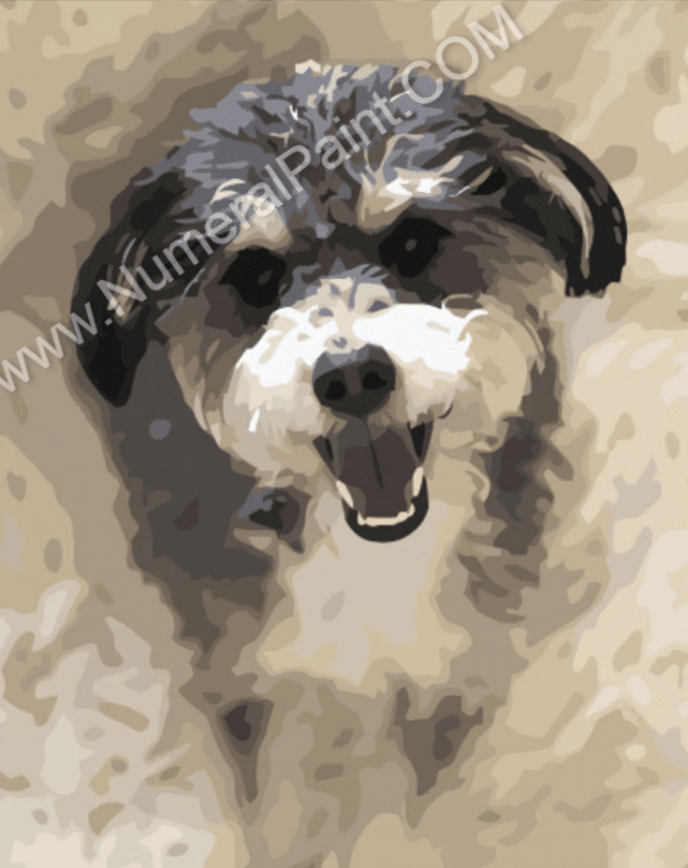 Paint by number your dog Custom paint by numbers - Numeral Paint Kit