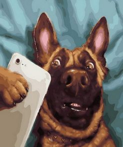 Dog Taking Selfie Paint By Numbers