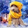 Dog In Winter Clothes Paint By Numbers