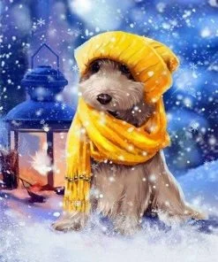 Dog In Winter Clothes Paint By Numbers