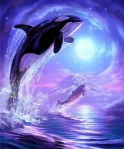 Orca Moon Paint By Numbers