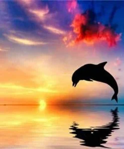Dolphin Silhouette Paint By Numbers
