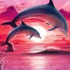 Dolphins Show At Sunset Paint By Numbers
