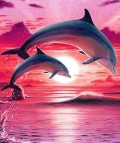Dolphins Show At Sunset Paint By Numbers