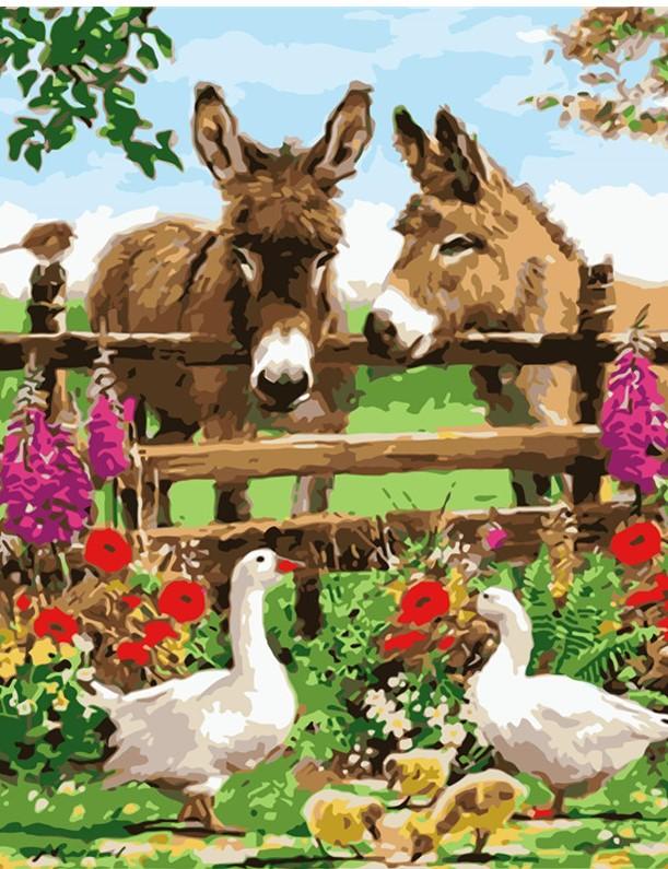 donkeys-in-farm-animals-paint-by-number-adult-paint-by-numbers-kits