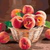 Peach Basket Paint By Numbers