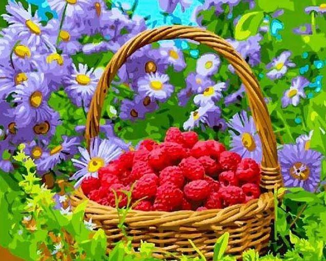 Cranberry- Still Life Paint By Numbers - Numeral Paint