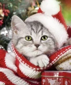 Christmas Kitten Paint By Numbers